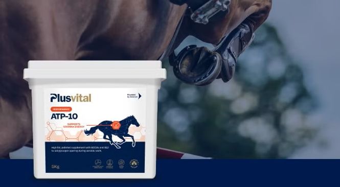 Hovedbilde Plusvital ATP-10 5kg