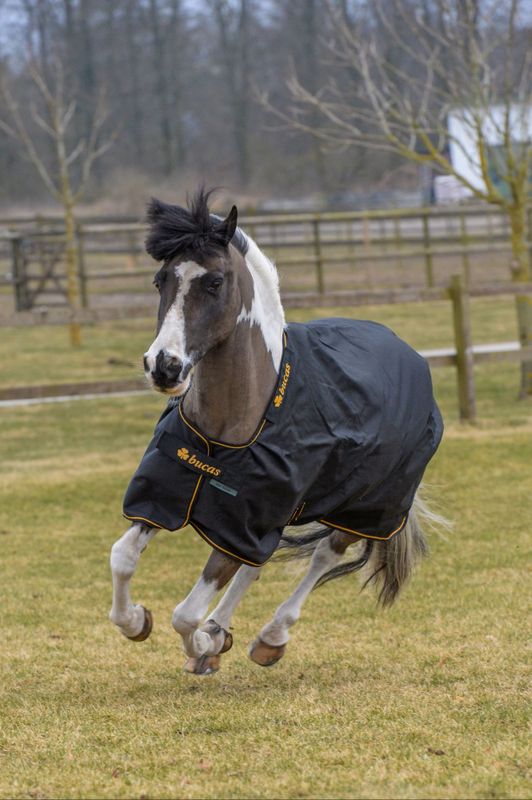 Irish Neck 50 g Black/Gold