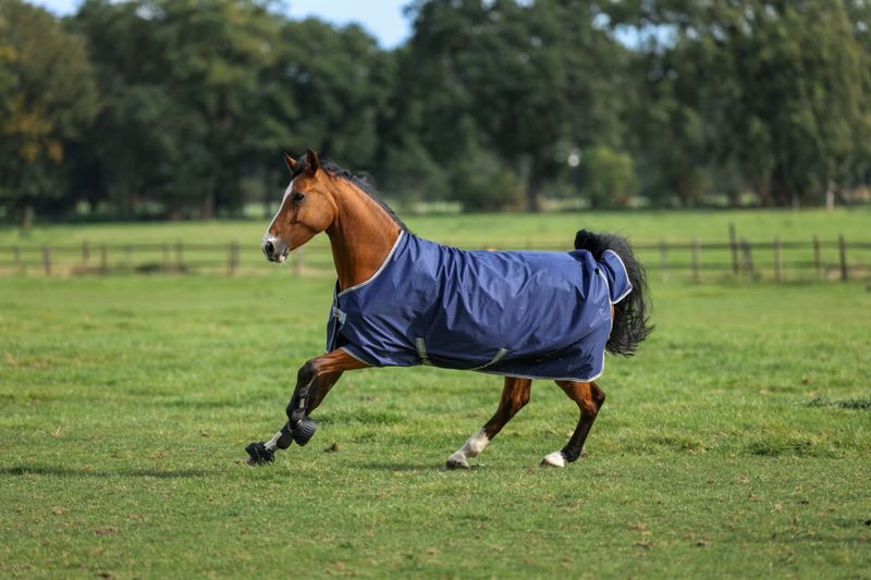        Bucas  Freedom Turnout 150