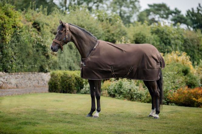 Hovedbilde Irish Turnout 50 + Neck - Espresso